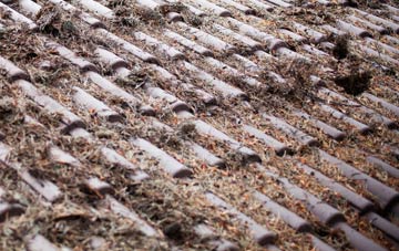 Titchmarsh roof cleaning companies