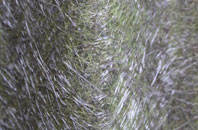 Titchmarsh fibreglass roof work